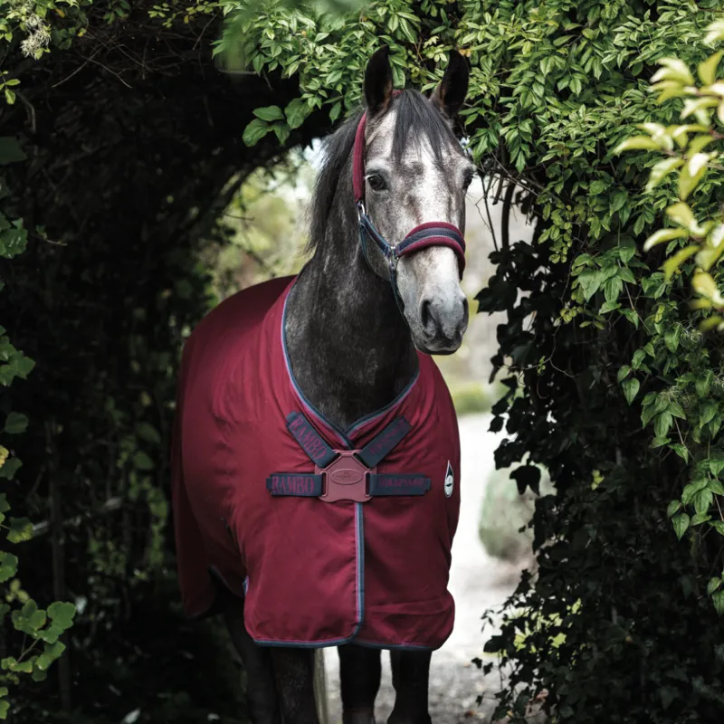 Horseware Rambo Helix Stable Sheet Disc -  Burgundy/Burgundy/Teal/Navy-1